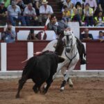 Zamora. Domingo 30 de junio de 2019