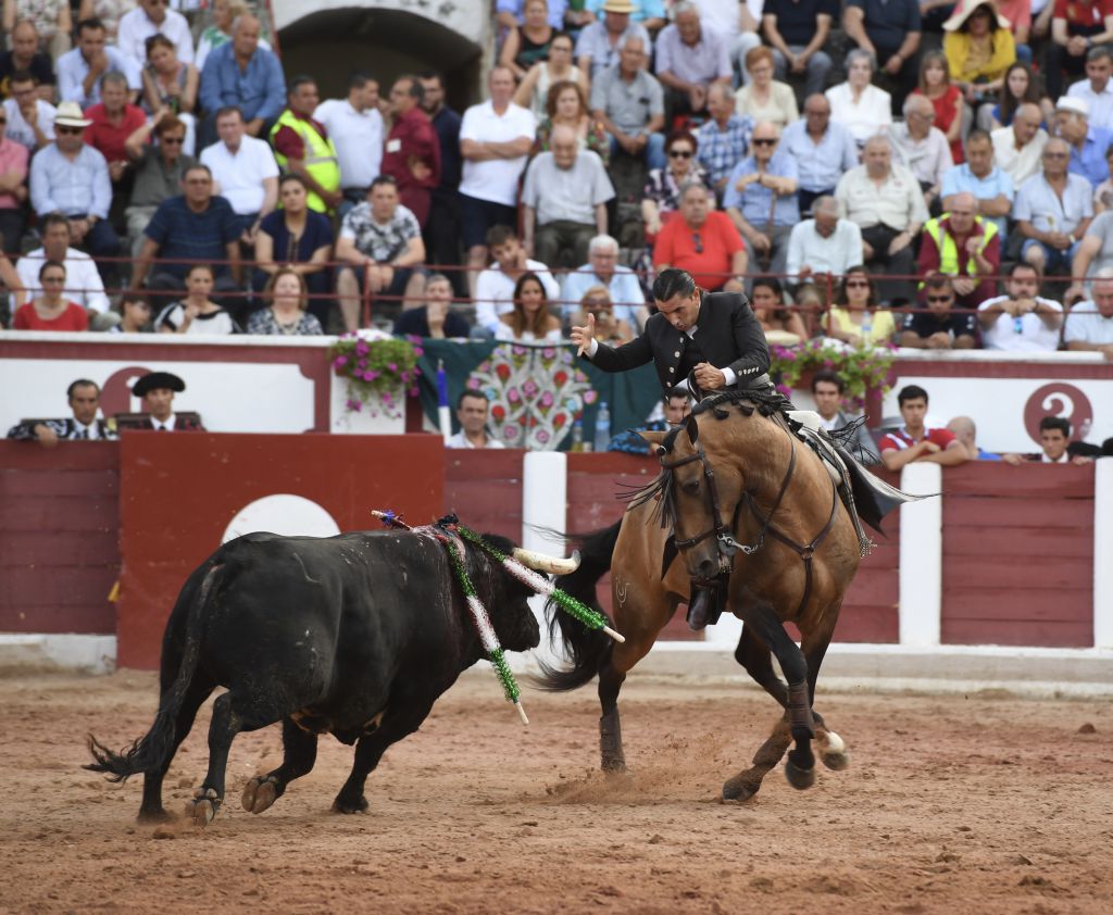 Zamora. Domingo 30 de junio de 2019