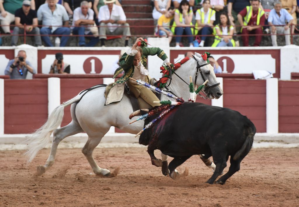 Zamora. Domingo 30 de junio de 2019