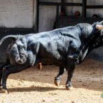 Sorteo. Madrid, domingo 23 de junio de 2019