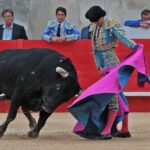 Nimes, viernes 7 de junio de 2019