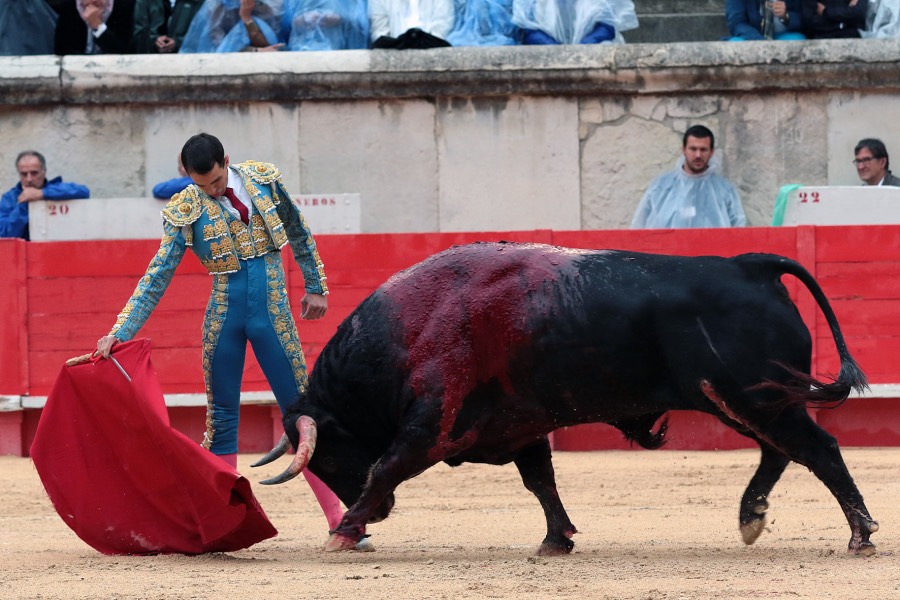 Nimes, viernes 7 de junio de 2019
