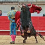 Nimes, viernes 7 de junio de 2019