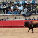 Nimes, viernes 7 de junio de 2019