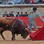 Nimes, viernes 7 de junio de 2019