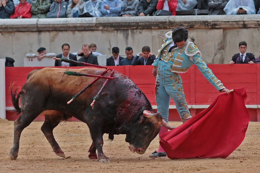 Nimes, viernes 7 de junio de 2019