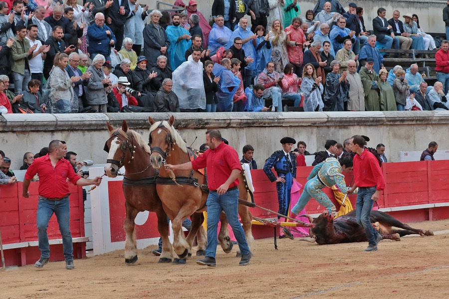 Nimes, viernes 7 de junio de 2019