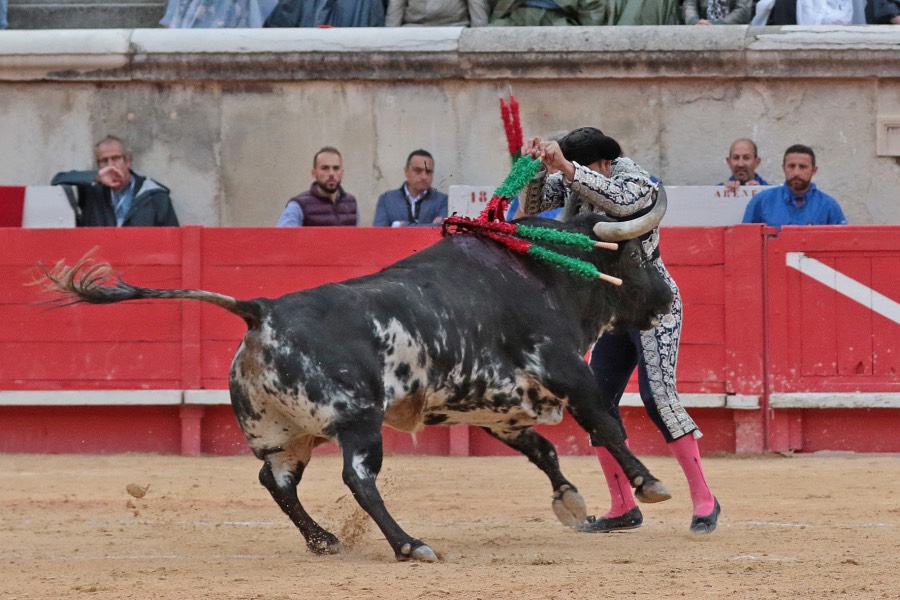 Nimes, viernes 7 de junio de 2019