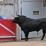 Nimes, viernes 7 de junio de 2019