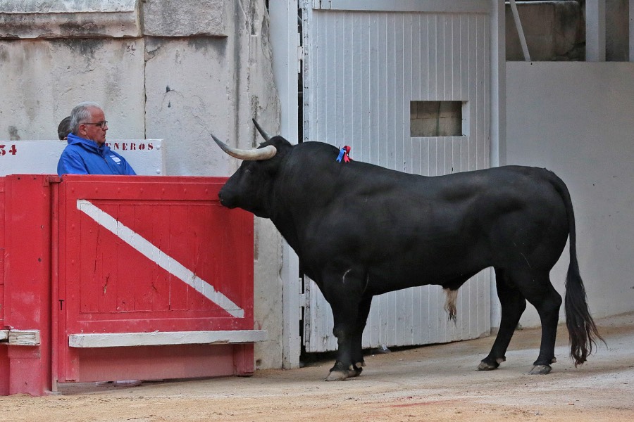 Nimes, viernes 7 de junio de 2019