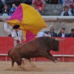 Nimes, viernes 7 de junio de 2019