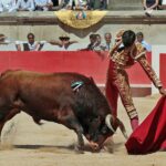 Nimes, sábado 8 de junio de 2019. Matinal