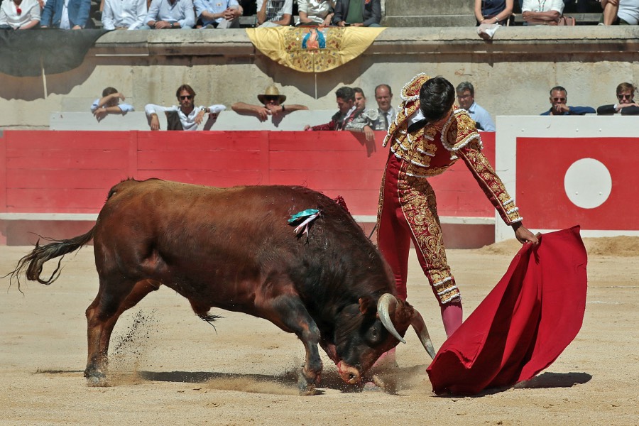 Nimes, sábado 8 de junio de 2019. Matinal
