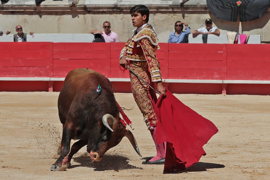 Nimes, sábado 8 de junio de 2019. Matinal