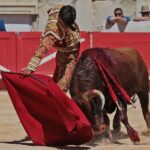 Nimes, sábado 8 de junio de 2019. Matinal