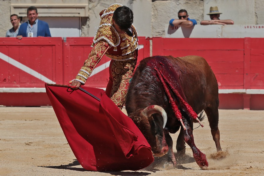Nimes, sábado 8 de junio de 2019. Matinal