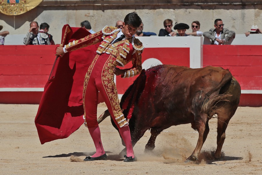 Nimes, sábado 8 de junio de 2019. Matinal
