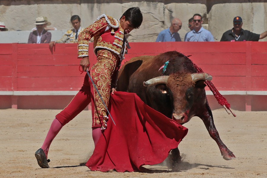 Nimes, sábado 8 de junio de 2019. Matinal