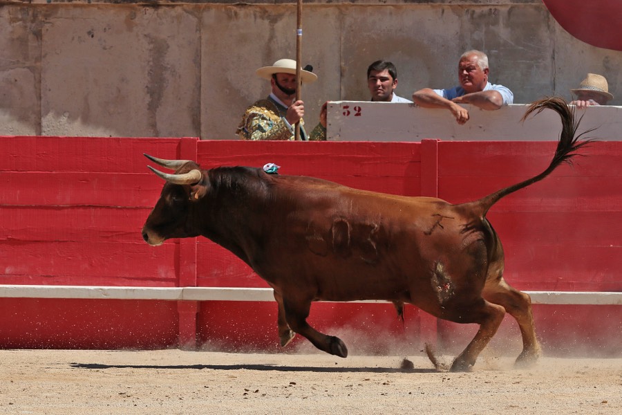 Nimes, sábado 8 de junio de 2019. Matinal