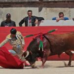 Nimes, sábado 8 de junio de 2019. Matinal