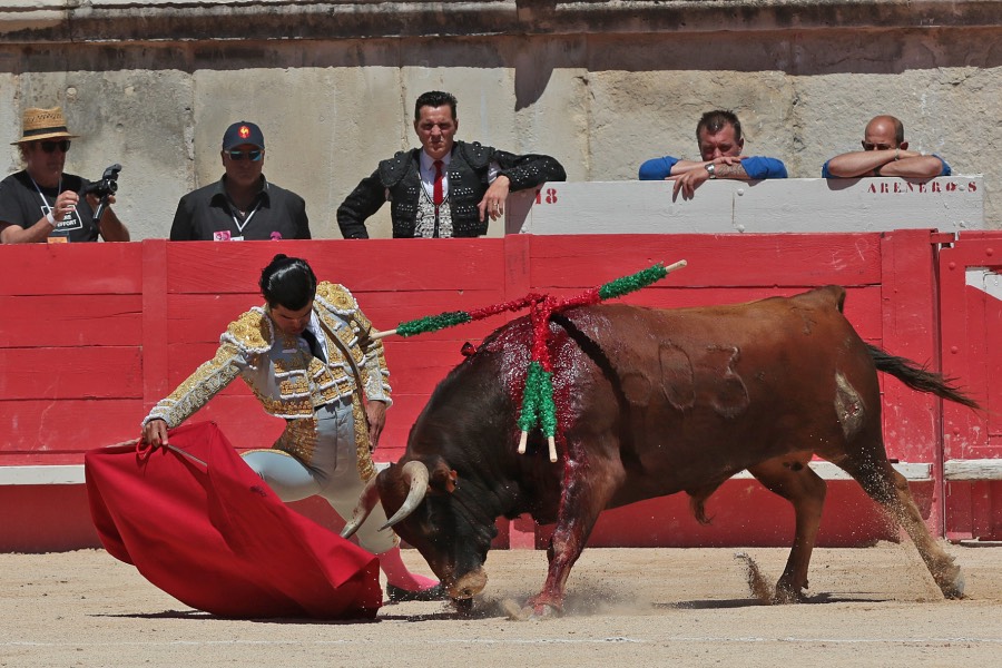 Nimes, sábado 8 de junio de 2019. Matinal