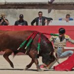 Nimes, sábado 8 de junio de 2019. Matinal