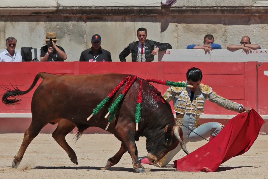 Nimes, sábado 8 de junio de 2019. Matinal