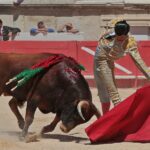 Nimes, sábado 8 de junio de 2019. Matinal