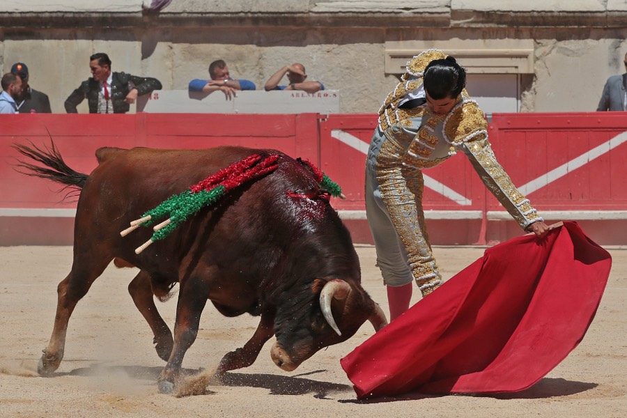 Nimes, sábado 8 de junio de 2019. Matinal