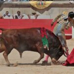 Nimes, sábado 8 de junio de 2019. Matinal