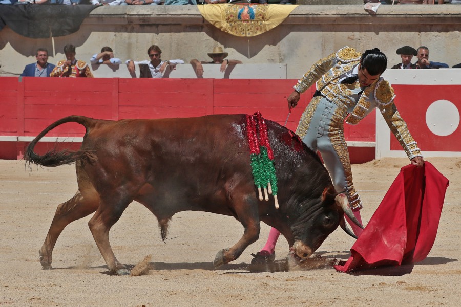 Nimes, sábado 8 de junio de 2019. Matinal