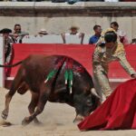 Nimes, sábado 8 de junio de 2019. Matinal