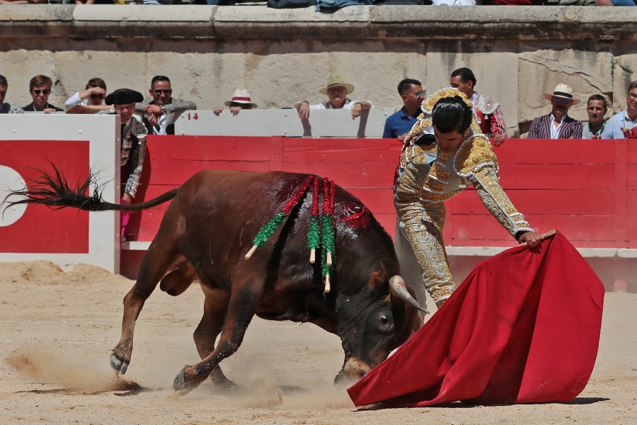 Nimes, sábado 8 de junio de 2019. Matinal