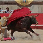 Nimes, sábado 8 de junio de 2019. Matinal