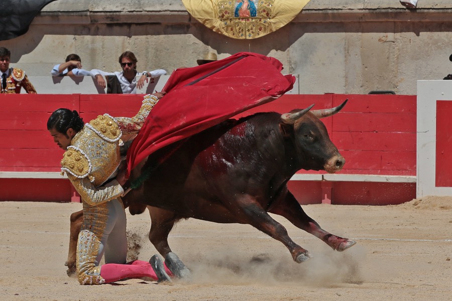 Nimes, sábado 8 de junio de 2019. Matinal