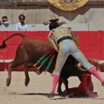 Nimes, sábado 8 de junio de 2019. Matinal
