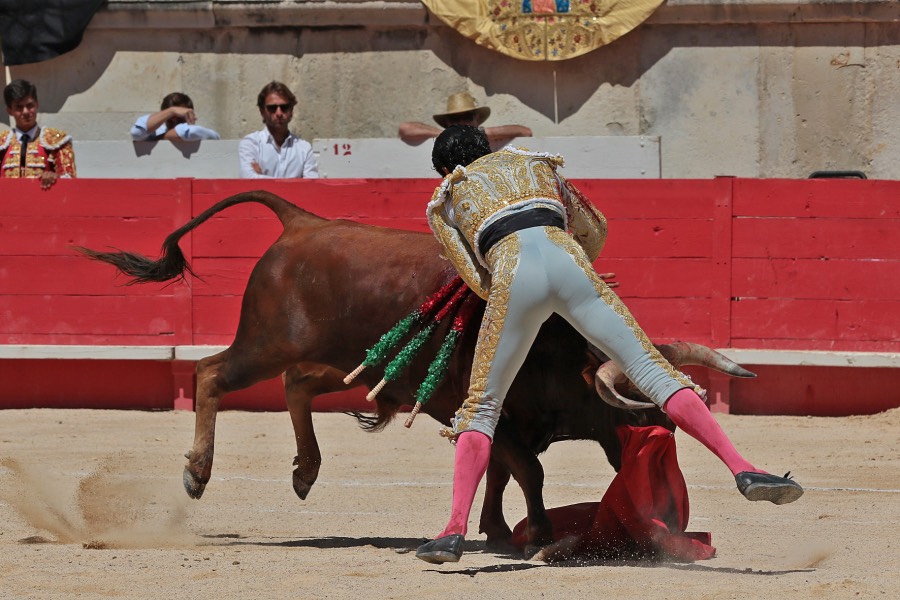 Nimes, sábado 8 de junio de 2019. Matinal