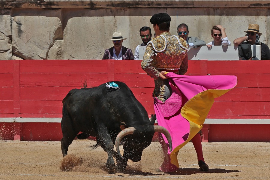 Nimes, sábado 8 de junio de 2019. Matinal