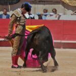 Nimes, sábado 8 de junio de 2019. Matinal