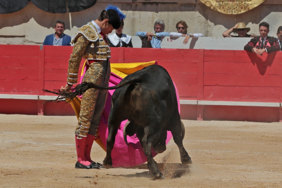 Nimes, sábado 8 de junio de 2019. Matinal