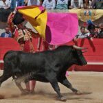 Nimes, sábado 8 de junio de 2019. Matinal