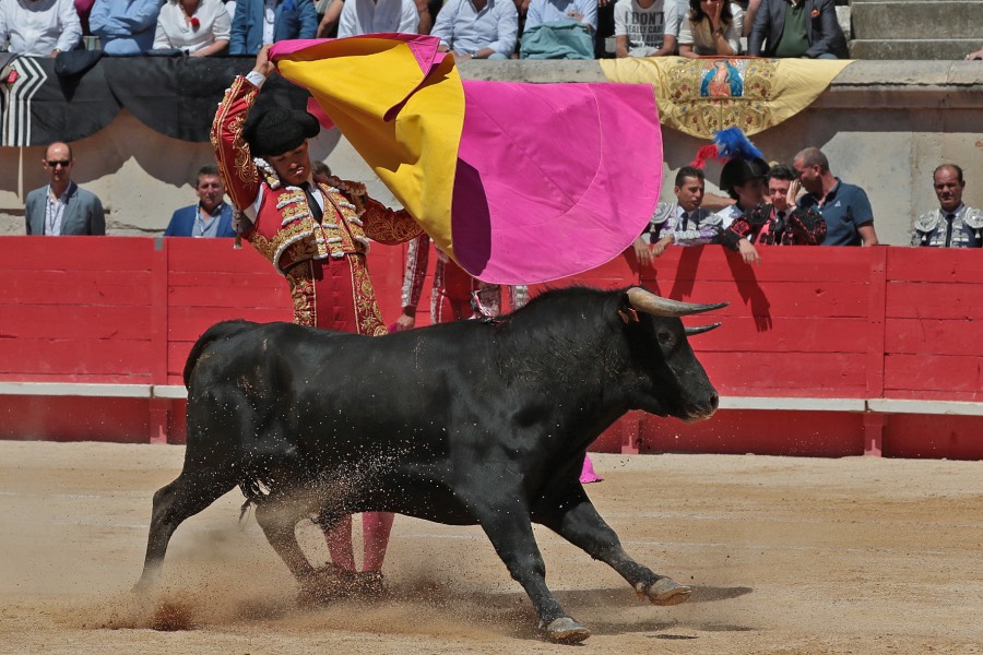 Nimes, sábado 8 de junio de 2019. Matinal