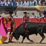 Nimes, sábado 8 de junio de 2019. Matinal