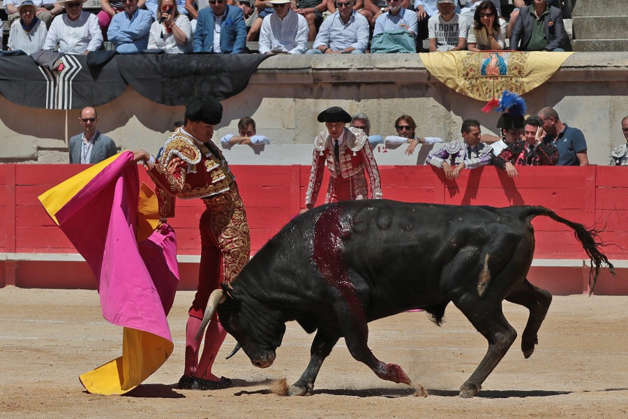 Nimes, sábado 8 de junio de 2019. Matinal