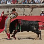 Nimes, sábado 8 de junio de 2019. Matinal