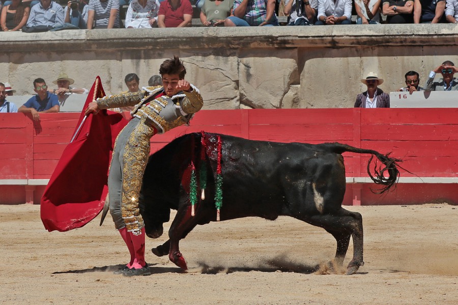 Nimes, sábado 8 de junio de 2019. Matinal