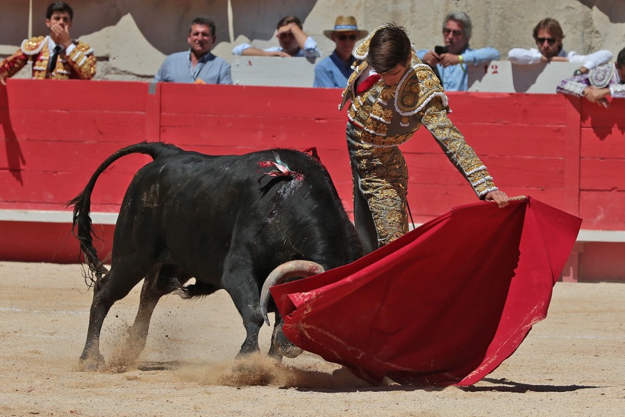 Nimes, sábado 8 de junio de 2019. Matinal