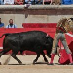 Nimes, sábado 8 de junio de 2019. Matinal