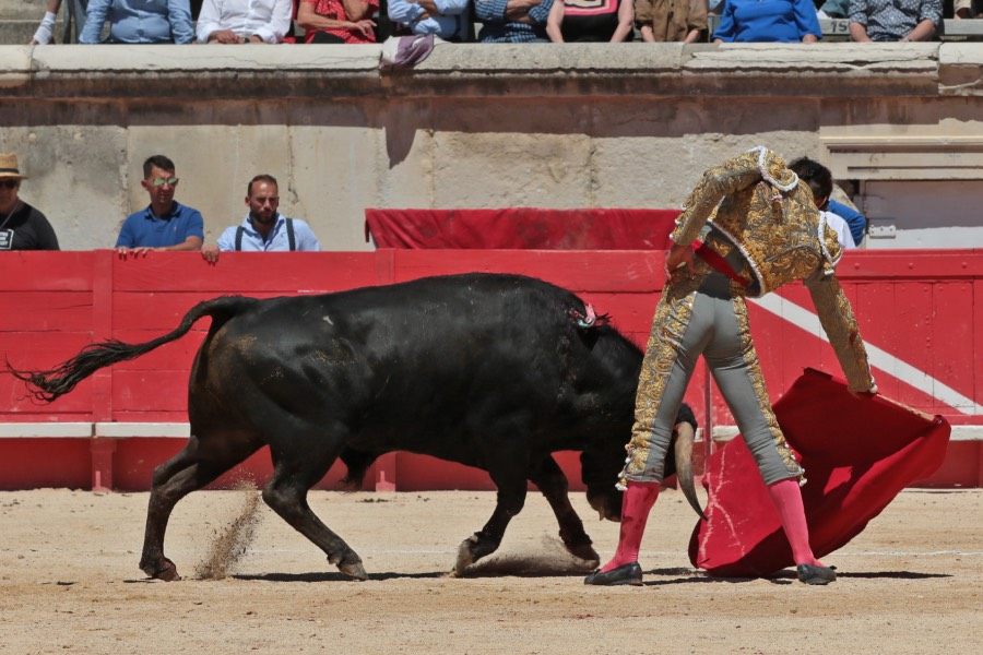 Nimes, sábado 8 de junio de 2019. Matinal