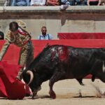 Nimes, sábado 8 de junio de 2019. Matinal